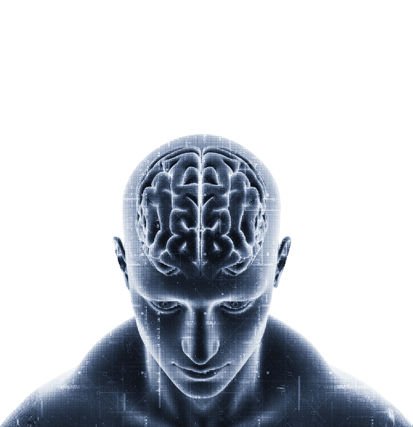 Human head with visible brain — representing psychiatric expertise
